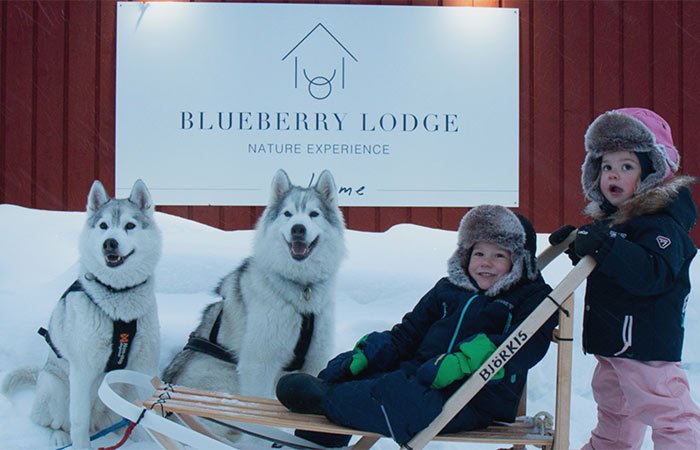 Mitkä ovat Tokmanni Ylöjärven parhaat tarjoukset tällä viikolla 8 Mitkä ovat Tokmanni Ylöjärven parhaat tarjoukset tällä viikolla