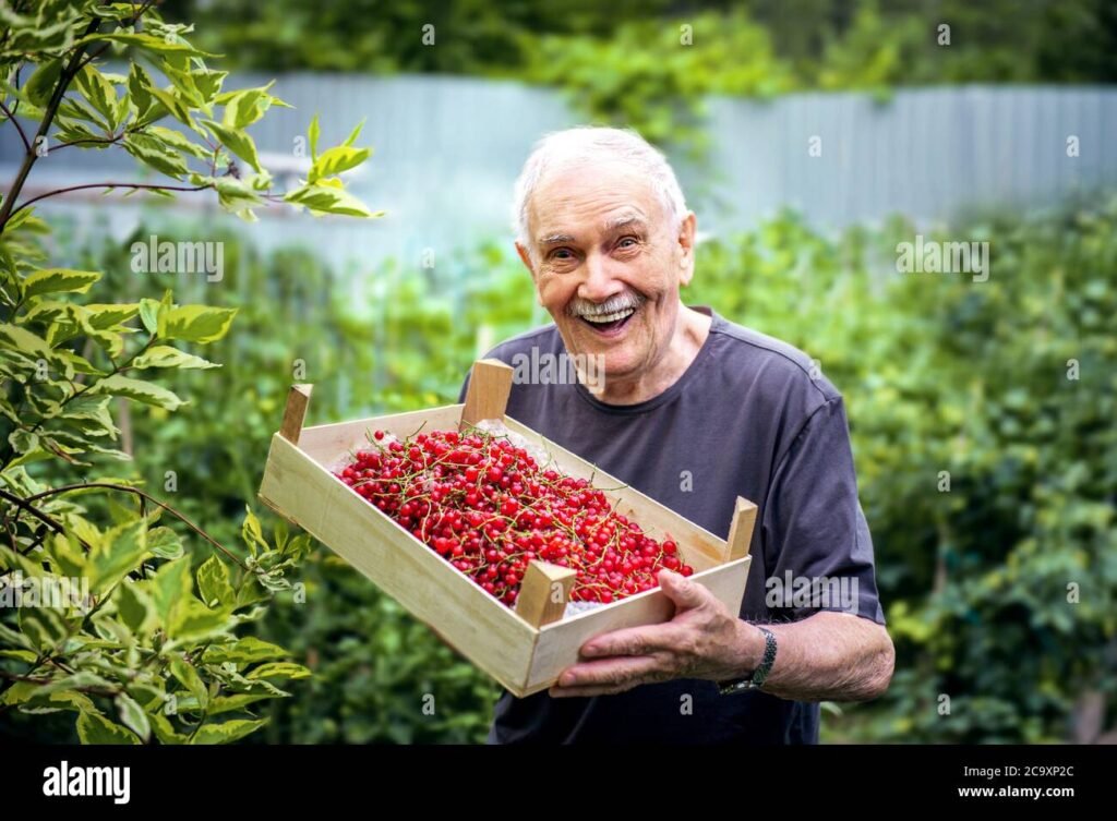 Kannattaako Eläkkeellä Tehdä Töitä – Mitkä Ovat Edut Ja Haitat