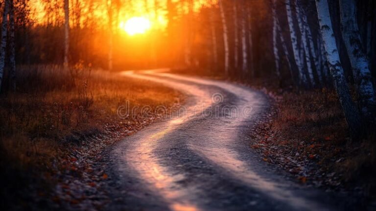 rauhallinen metsapolku auringonlaskussa