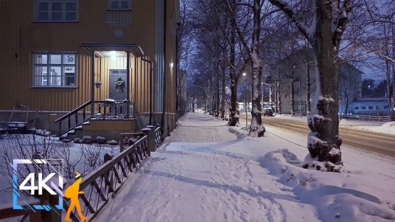 suomalainen katuviitta talvella