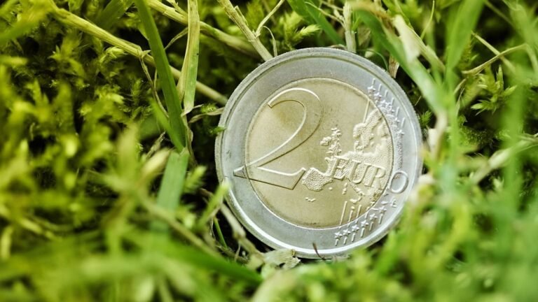 suomen euroseteleita ja kolikoita rahakupissa