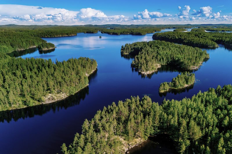Mikä Määrää Metsän Maapohjan Arvon Suomessa