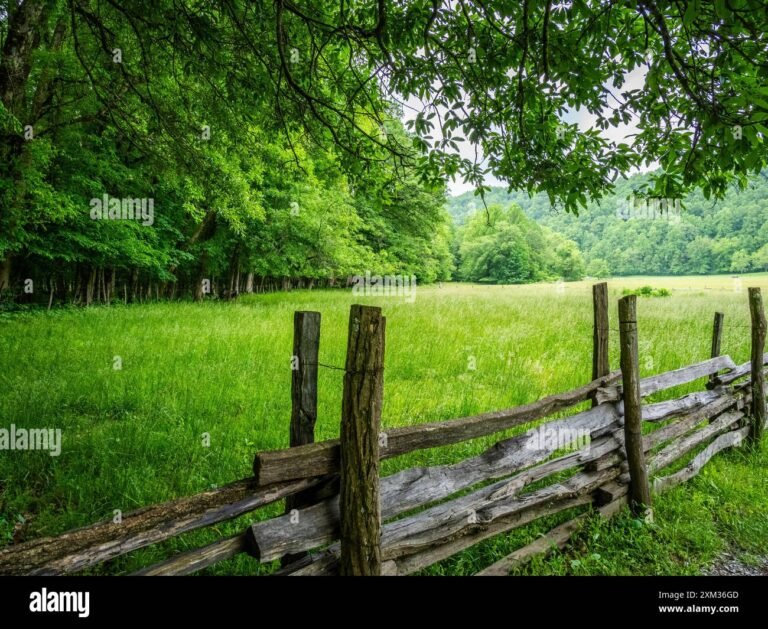 vihrea puuaita luonnon keskella