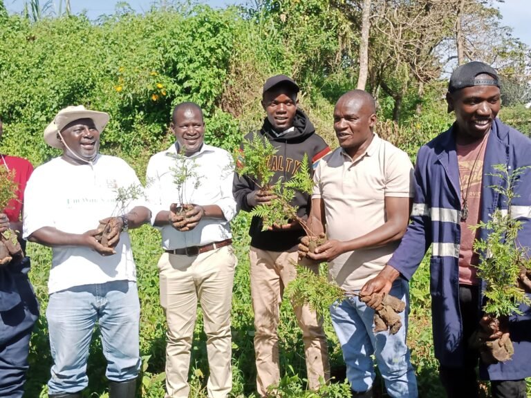 yrityksen tyontekijat istuttamassa puita